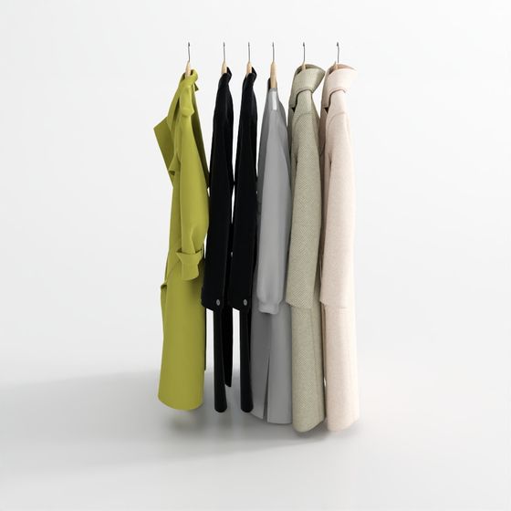 Vêtements Frais Suspendus 013