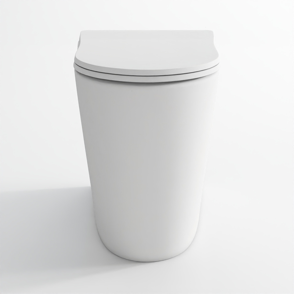 Rimless Back to Wall WC