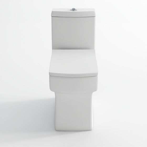 Jaquar Couple Closet WC