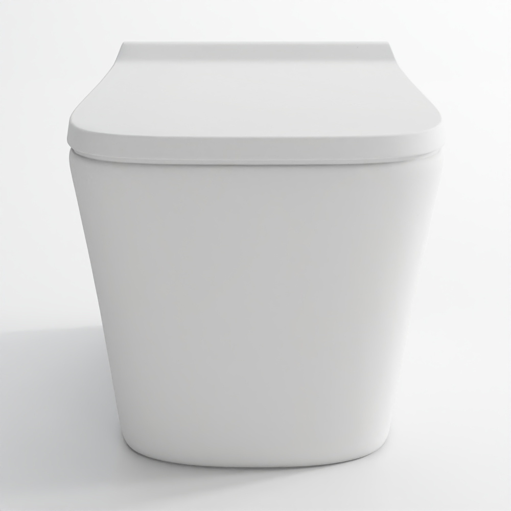 Rimless, blind installation wall hung WC