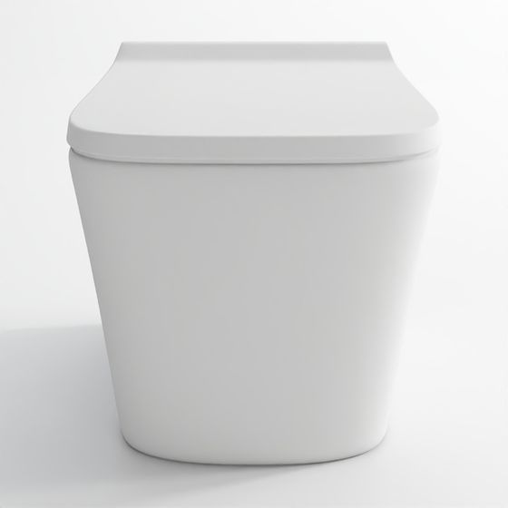 Rimless, blind installation wall hung WC