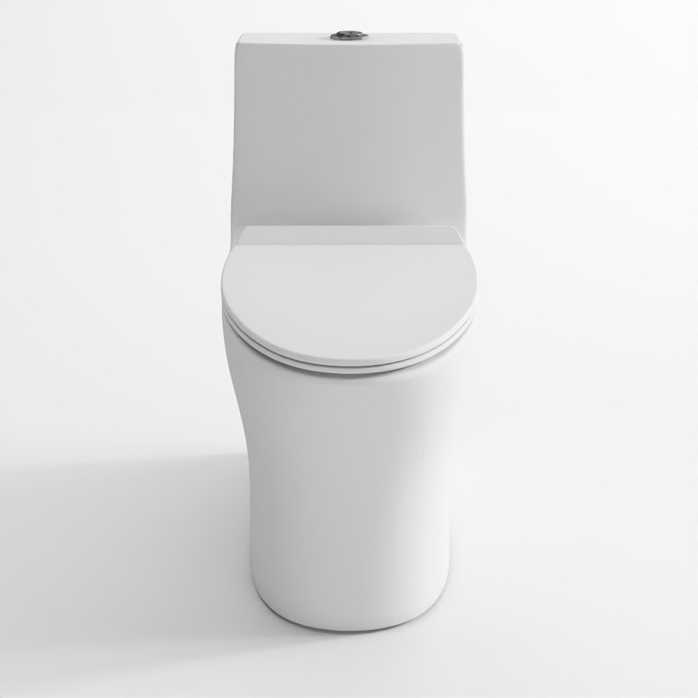 Rimless One-Piece WC