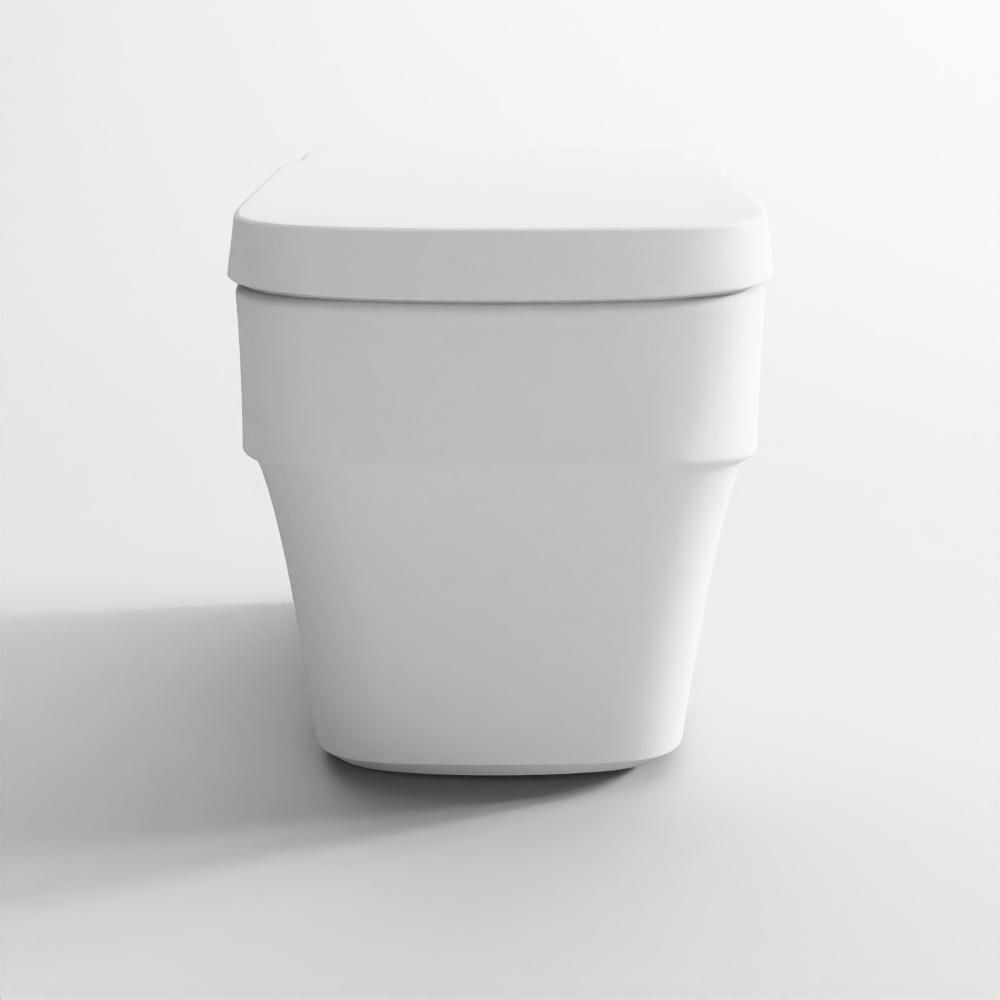 Rimless Wall Hung WC