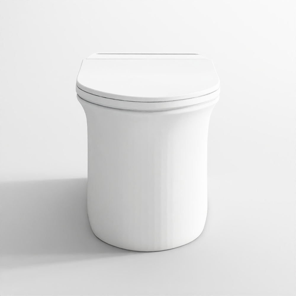 Tankless wall hung WC - Ornamix