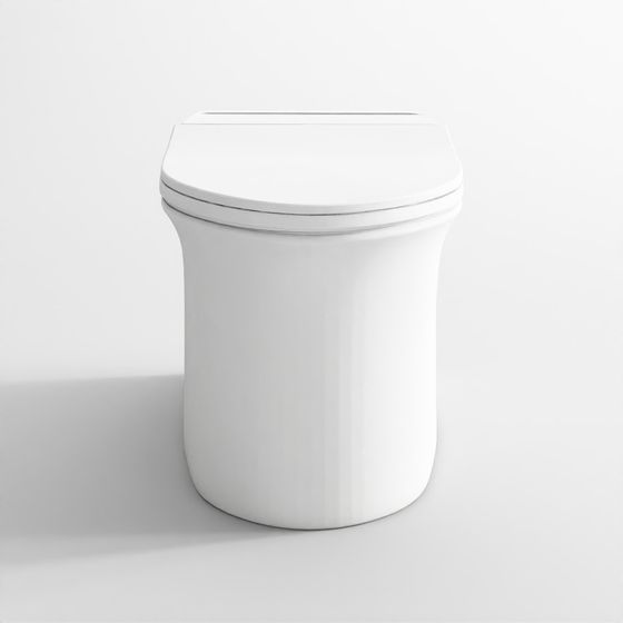 Tankless wall hung WC - Ornamix