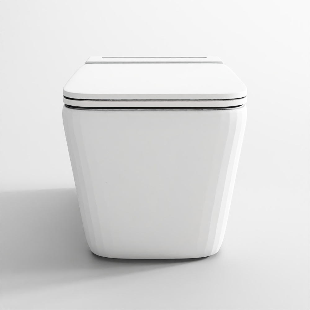 Tankless Wall Hung WC - Aria