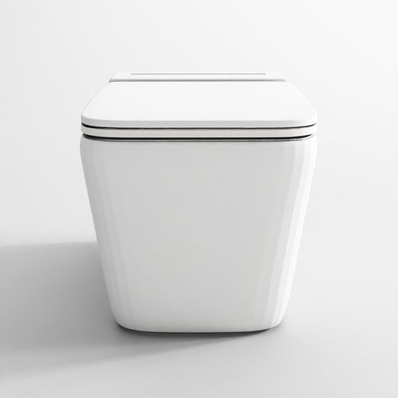 Tankless Wall-Hung WC - Aria