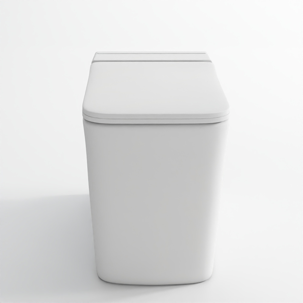 Tankless One-Piece WC - Aria