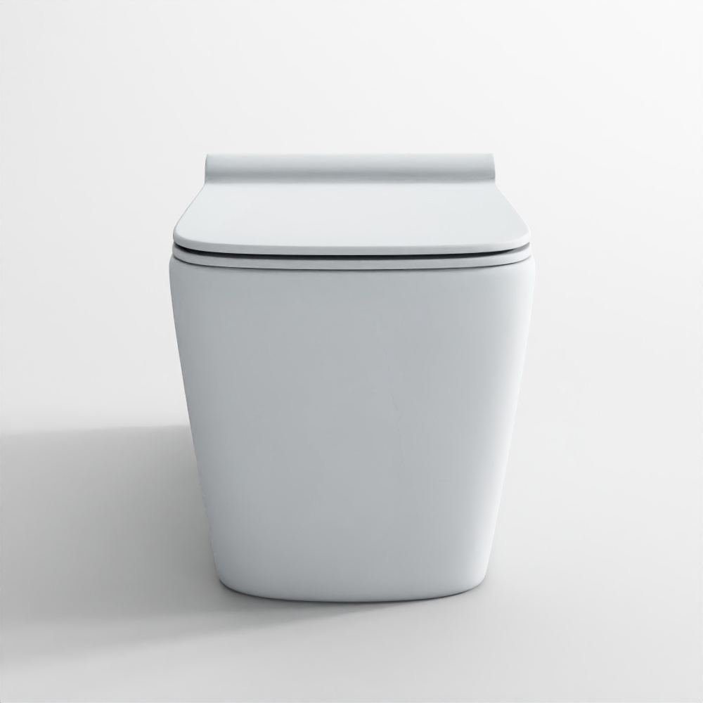 Wall hung WC - Aria