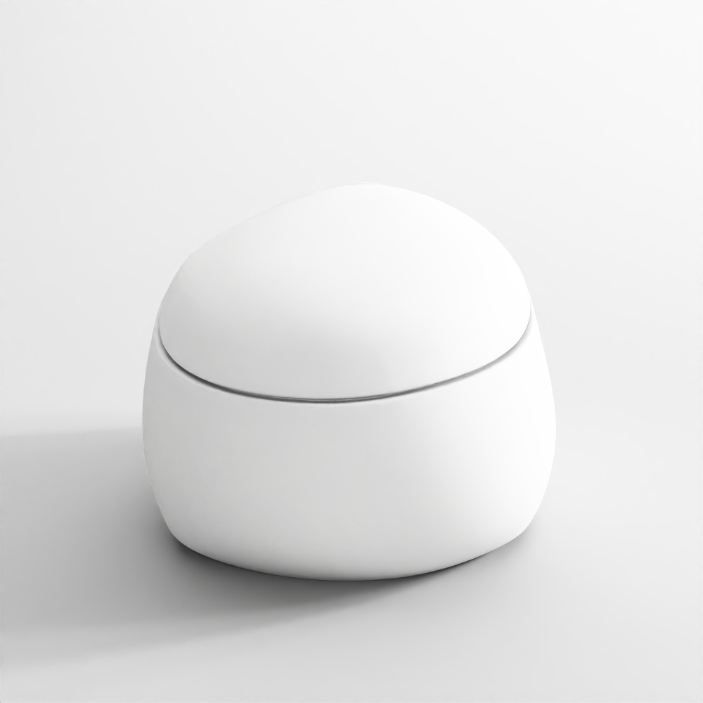 Wall hung WC - Fusion