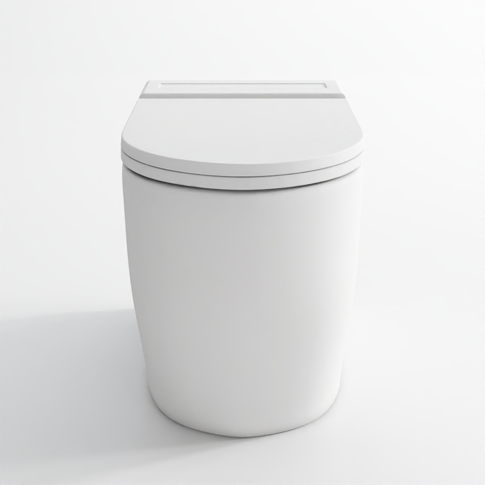 Tankless Single Piece WC