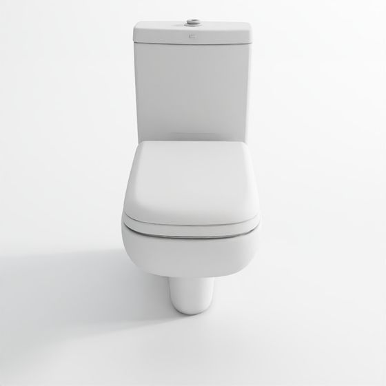 Rimless Bowl with Cistern-Florentine