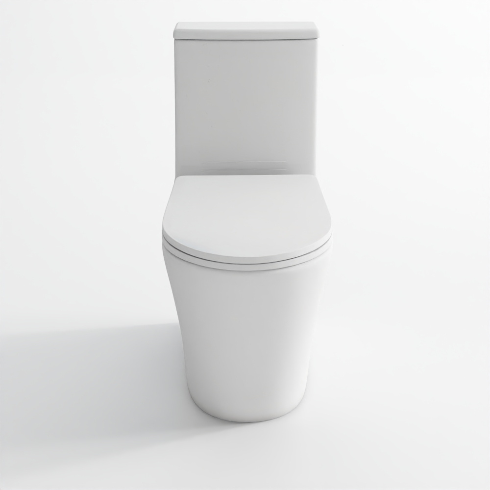 Rimless Bowl with Cistern