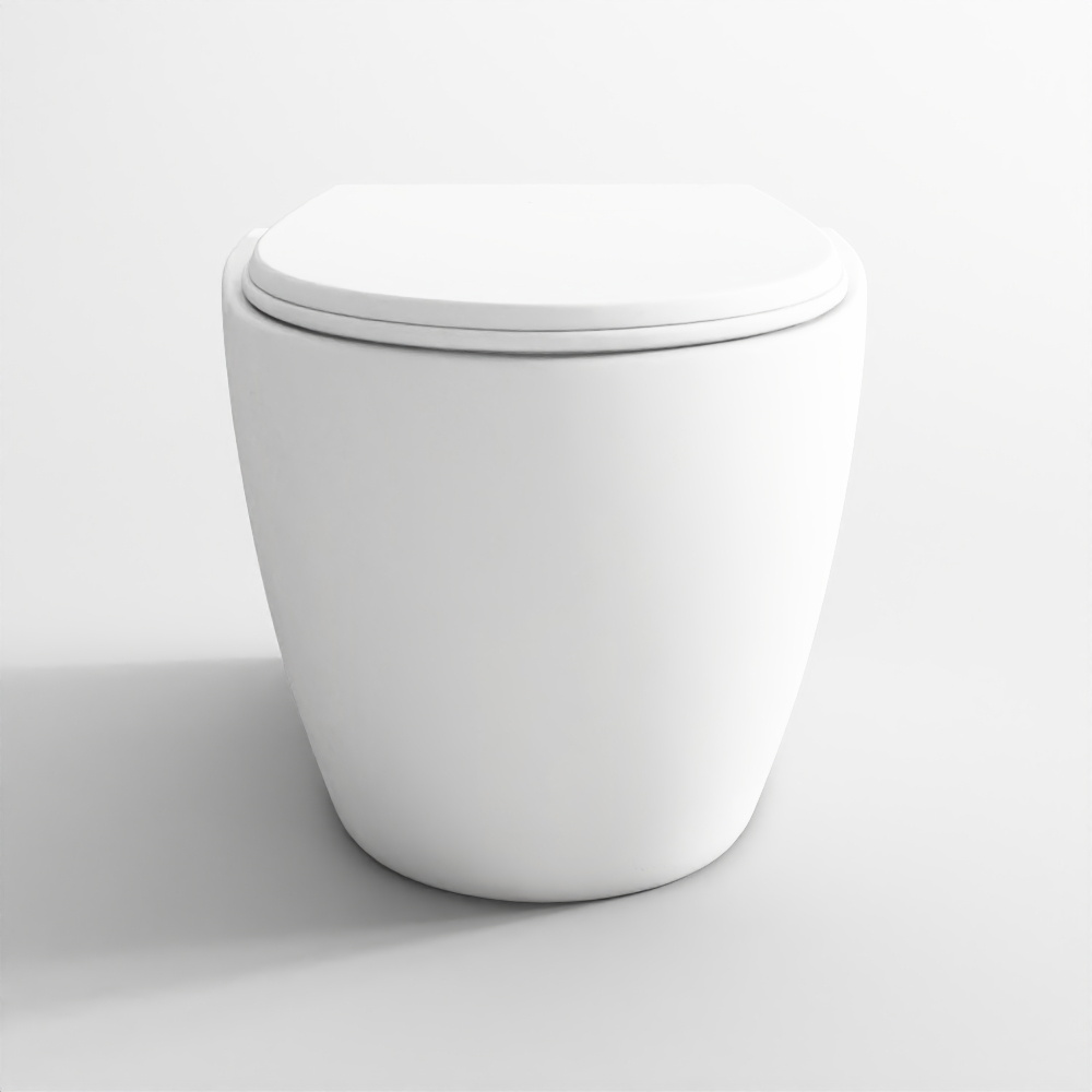 Rimless Wall Hung WC