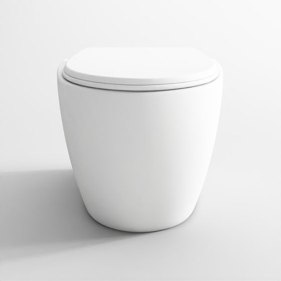 Rimless Wall-Hung WC