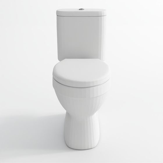Bowl with Cistern for Coupled WC