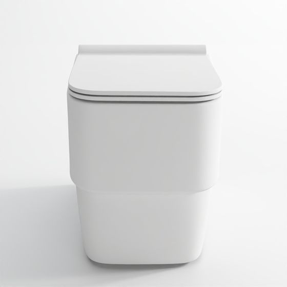 Jaquar D'Arc Rimless Blind Installation Wall Hung WC