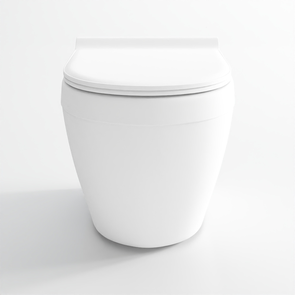 Rimless, Blind Installation Wall Hung WC - White Matt