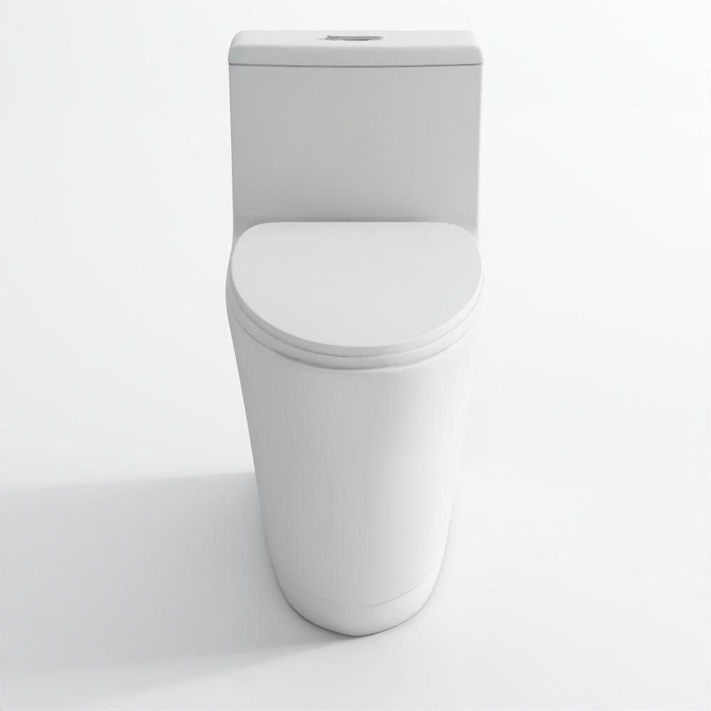 Rimless Single Piece WC