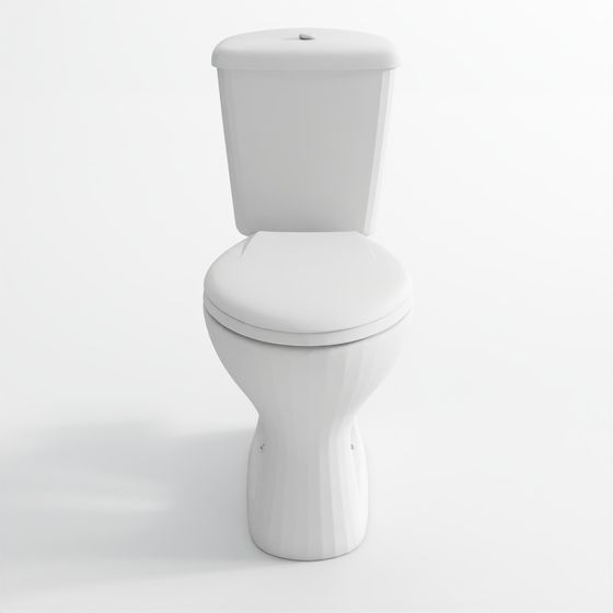 Double Toilet Closet