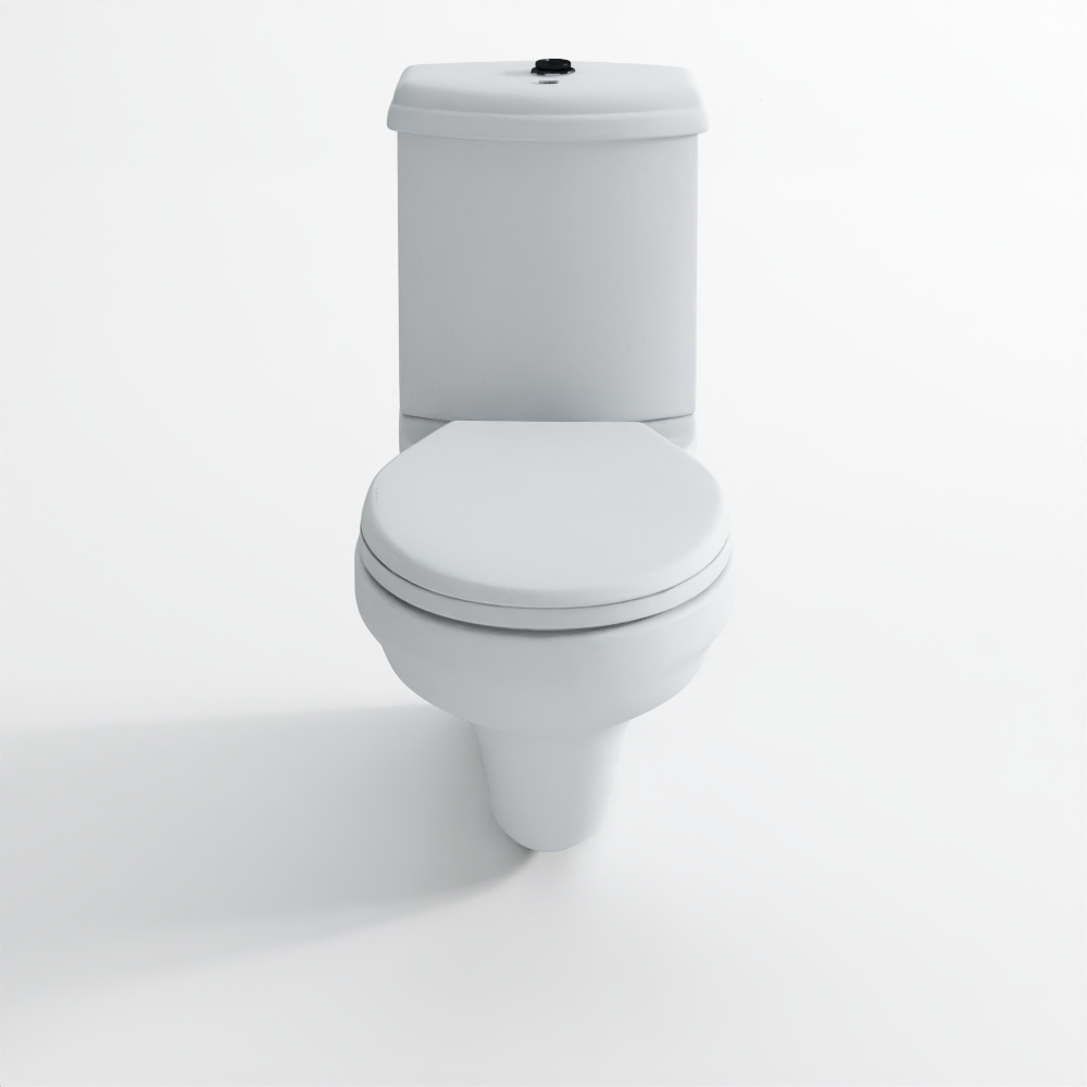 Bowl with Cistern - 3