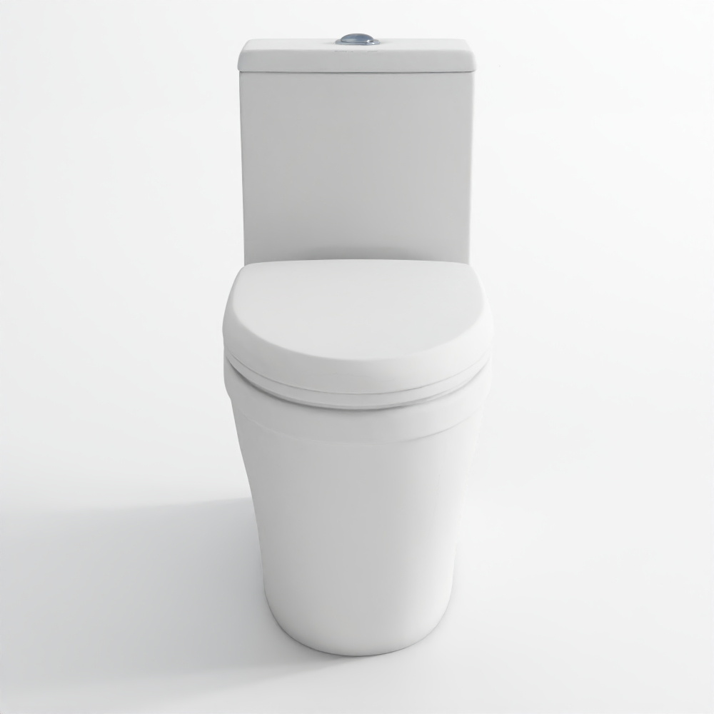 Bowl with Cistern - 2