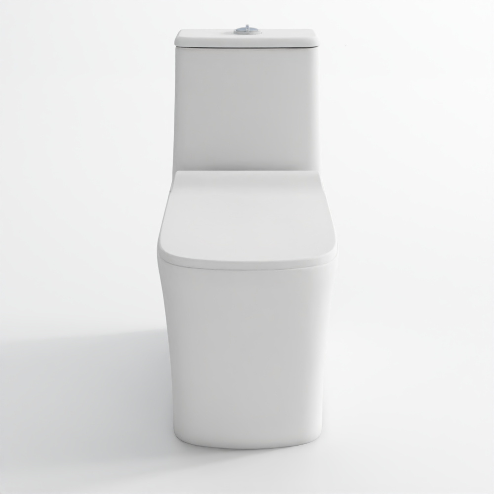 Rimless Single Piece WC - 2