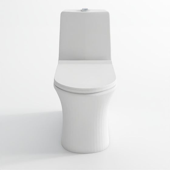 Rimless single piece WC