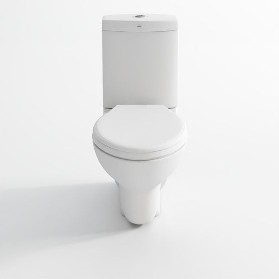 Bowl with cistern for extended wall hung WC