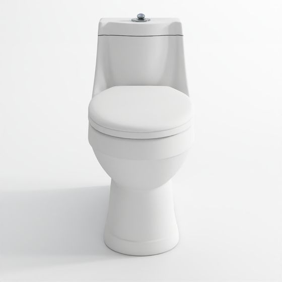 Single-Piece Toilet