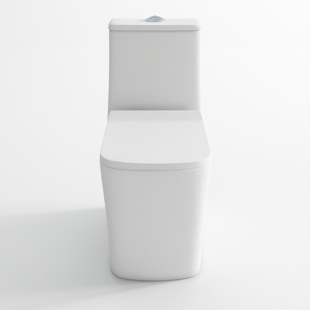 Rimless One-Piece WC