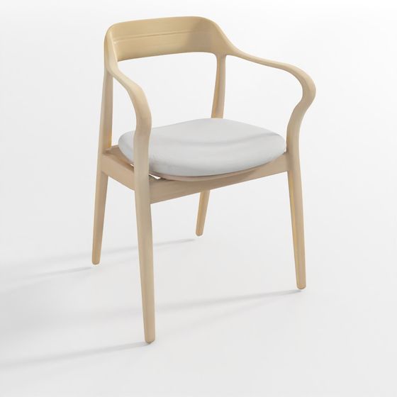 Cozy Chair 3D model for Modern Design