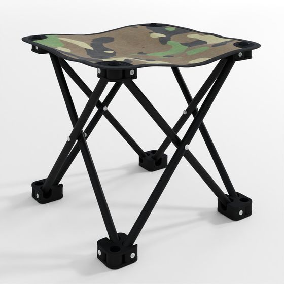 Folding Camping Stool