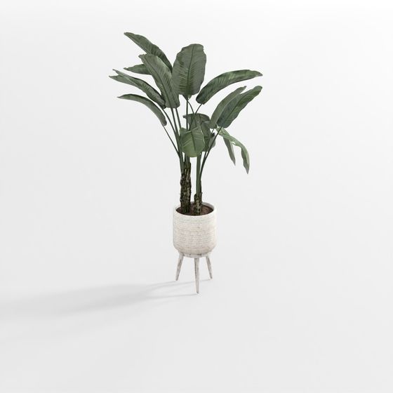 ต้นไม้สีเขียวอ่อน