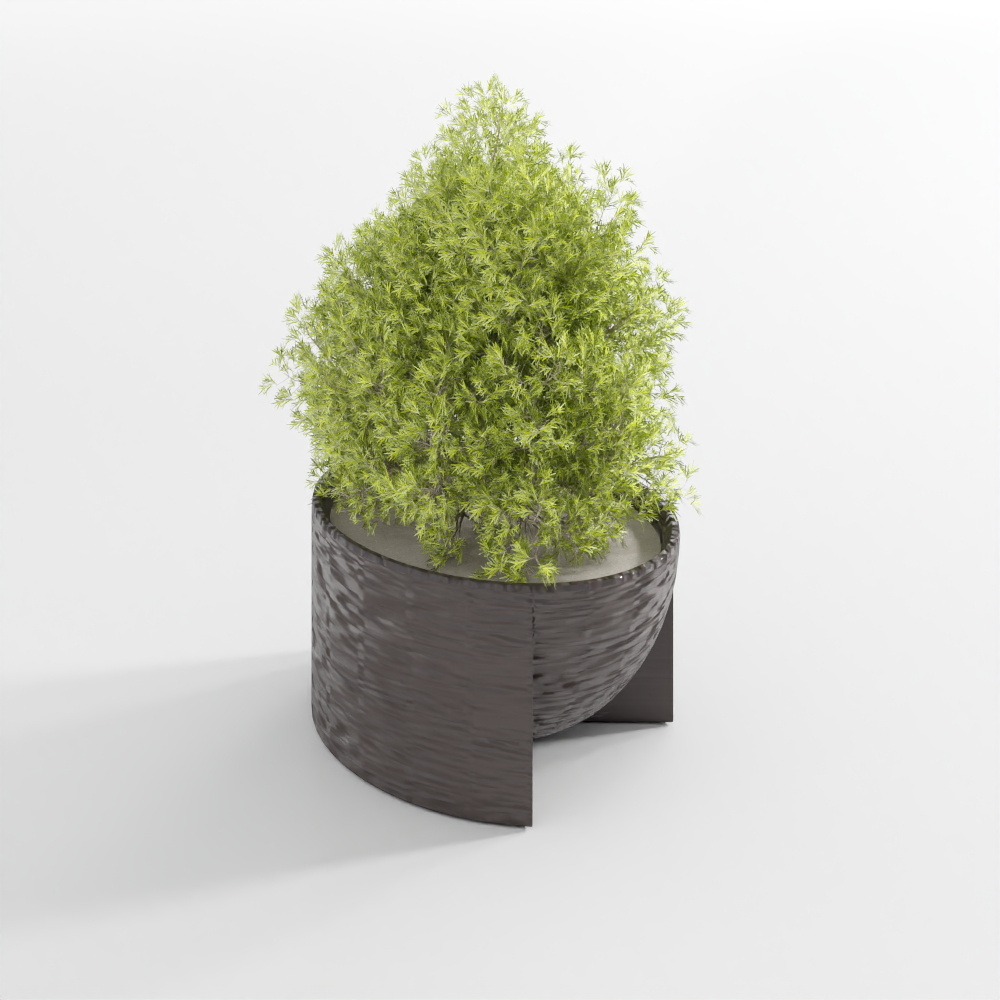 ต้นไม้สีเขียวอ่อน