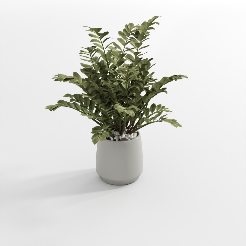 Hellgrüne Pflanze 3