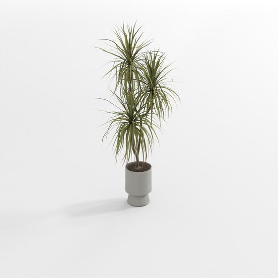 ต้นไม้สีเขียวโทนอ่อน 4