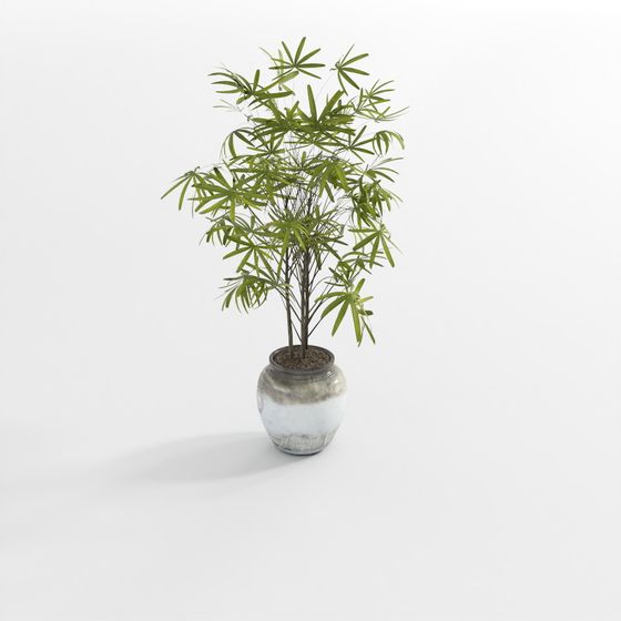 ต้นไม้สีเขียวอ่อน