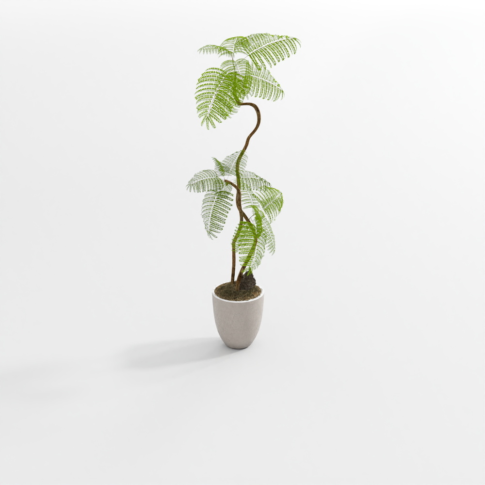 연한 색 초록 식물