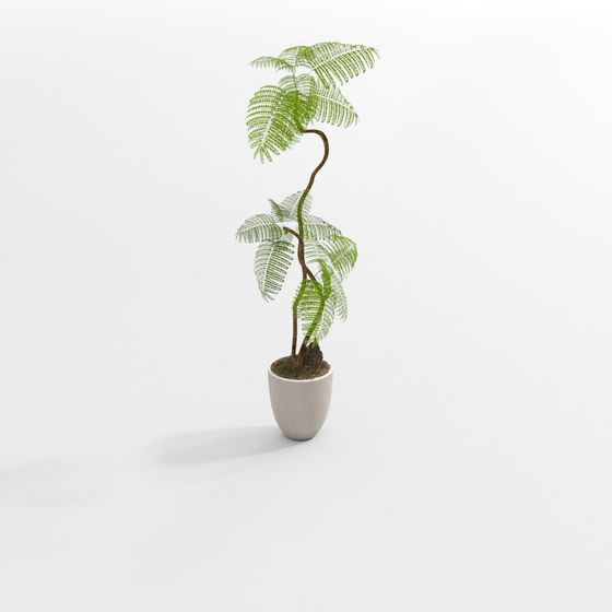 연한 색 초록 식물