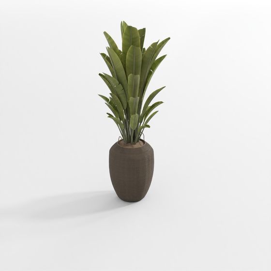 밝은 색 녹색 식물