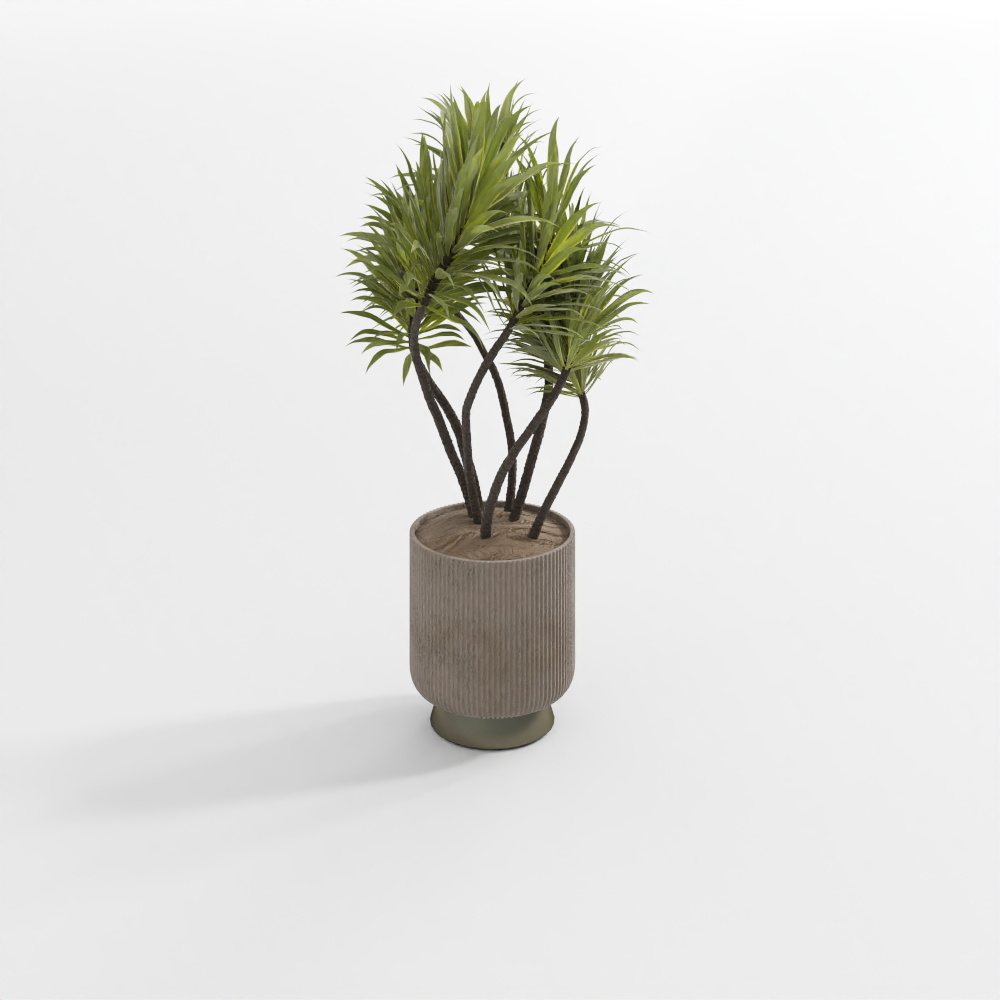 Plante Verte de Couleur Claire