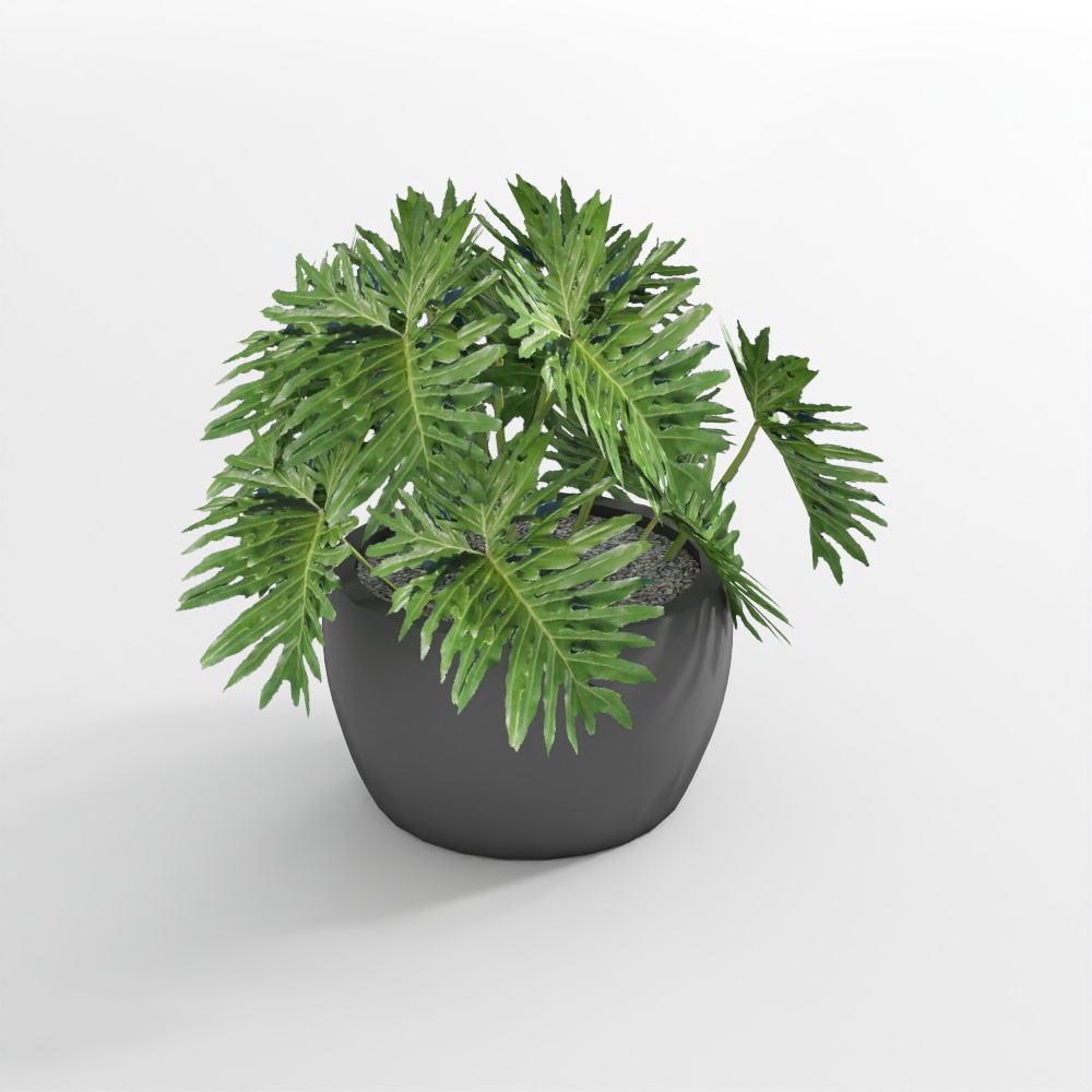 Monstera Leaf Arrangement