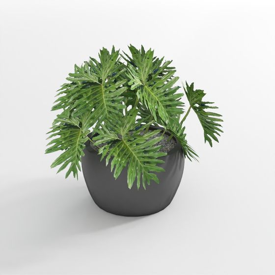 Monstera Leaf Arrangement