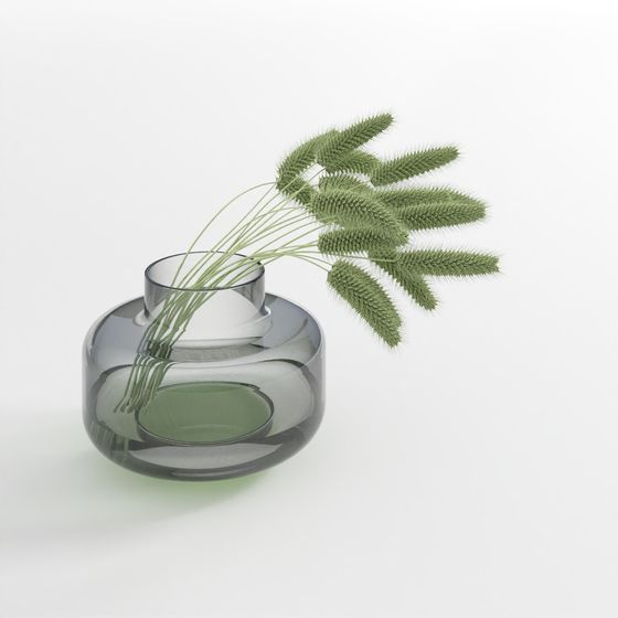 鉢植えのグリーンプラント2