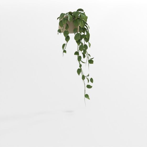 Potted Green Plant 5