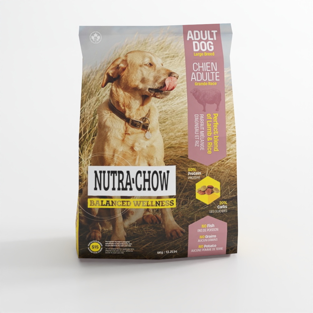 อาหารแมวและหมา 19