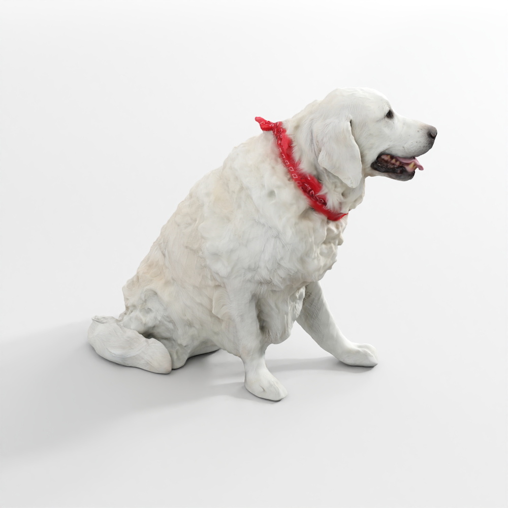 Chó Golden Retriever