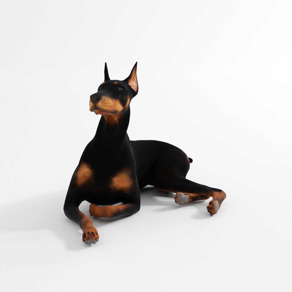 Dobermann – Cane Grande