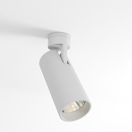 Angled Down Spotlight 1